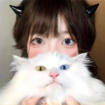 大官小官